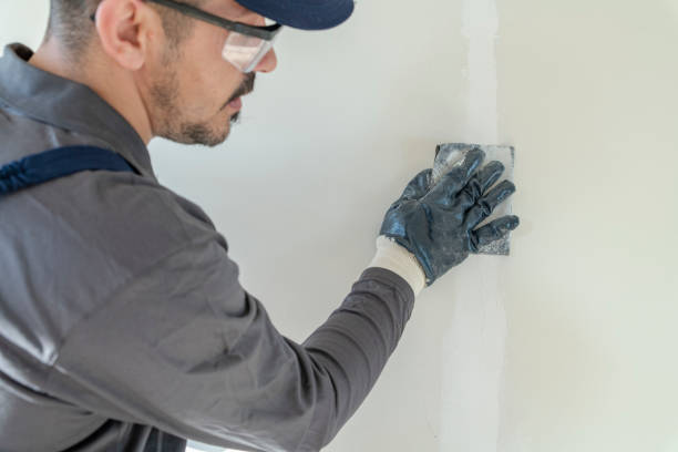 Best Drywall Repair  in Colfax, CA